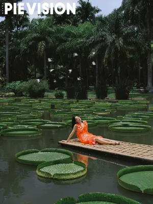 郭晓婷花瓣面纱性感写真图片_9