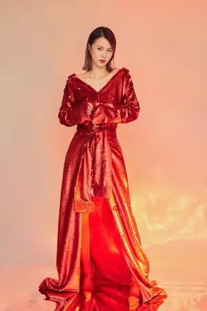 谭维维亮片红裙性感写真图片_5