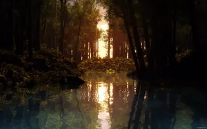 森林树木风景_4