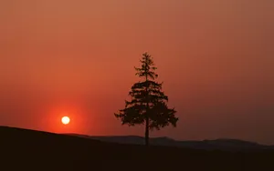 黄昏绚丽晚霞美景_13