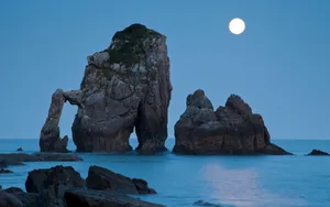 月光下的美丽风景壁纸_2