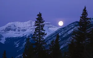 月光下的美丽风景壁纸_3