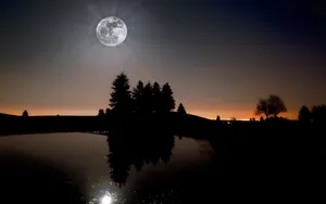 月光下的美丽风景壁纸_10