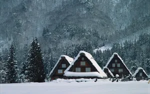 冬季雪景桌面壁纸_3