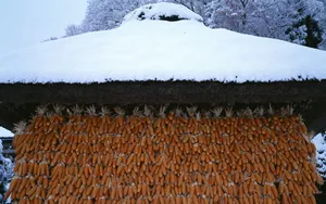 冬季雪景桌面壁纸_6
