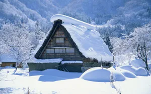 冬季雪景桌面壁纸_8