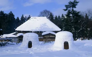 冬季雪景桌面壁纸_15