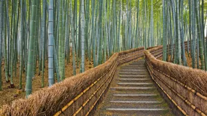 精美风景风光壁纸_13