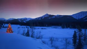 精美雪景风光壁纸_2