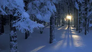 精美雪景风光壁纸_4
