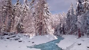 精美雪景风光壁纸_7