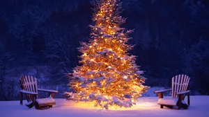 精美雪景风光壁纸_10