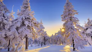 精美雪景风光壁纸_16