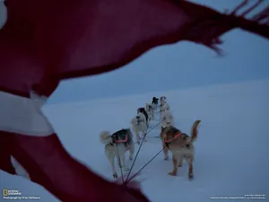 国家地理杂志 2012年一月壁纸_14