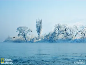2011国家地理杂志中国赛区_4