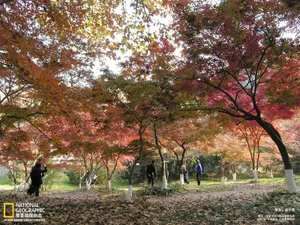 2011国家地理杂志中国赛区_15
