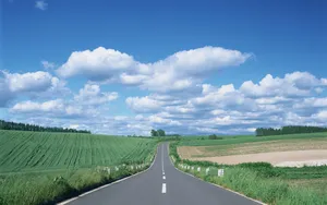 公路_5