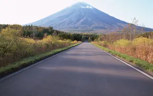 公路_9