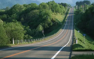公路_10