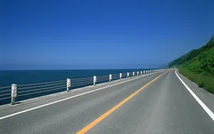 公路_15