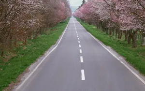 公路_17