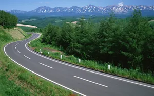 公路_19