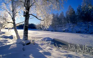 雪景图片壁纸_2