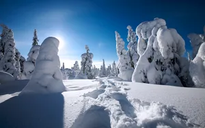 雪景图片壁纸_12
