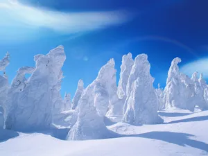 雪景图片壁纸_13