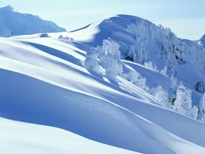 雪景图片壁纸_14