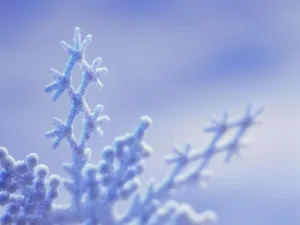 雪景图片壁纸_16