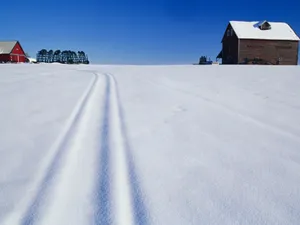 雪景图片壁纸_17