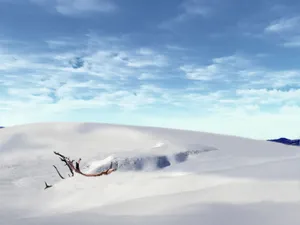 雪景图片壁纸_18