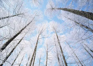 北海道风光 第三辑_3