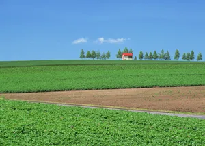 北海道风光 第三辑_16