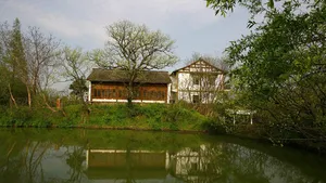 西溪国家湿地公园_5