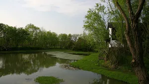 西溪国家湿地公园_6