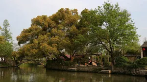 西溪国家湿地公园_14