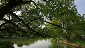 西溪国家湿地公园_15
