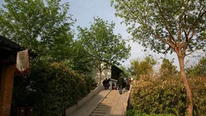 西溪国家湿地公园_17