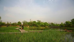 西溪国家湿地公园_19