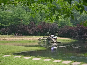 太子湾公园风光_4
