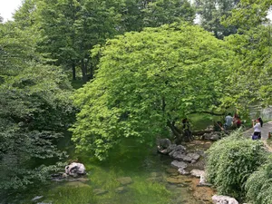 太子湾公园风光_13