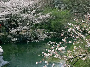 太子湾公园风光_14