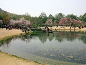 太子湾公园风光_19