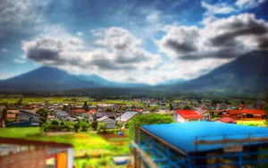 微缩风光写照_13