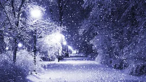 雪景 第三辑_7