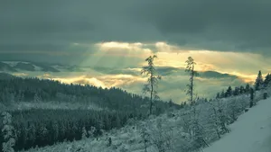 雪景 第三辑_14
