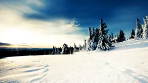 雪景 第三辑_15