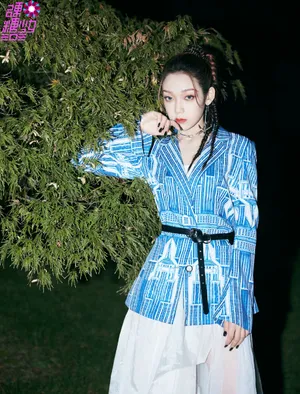 希林娜依·高编发高马尾干练写真图片_3